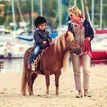 Golebiewski 4* Mikolajki (Mragowo)